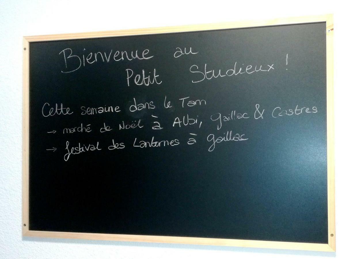 Le Petit Studieux - Parking - Animaux Acceptes - Centre Ville Accessible A Pied Albi Exterior photo