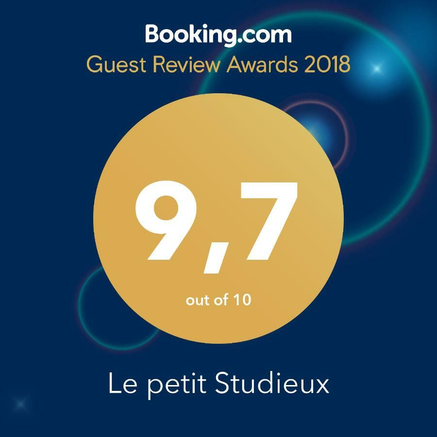 Le Petit Studieux - Parking - Animaux Acceptes - Centre Ville Accessible A Pied Albi Exterior photo